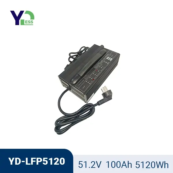 51.2V 100Ah Golf Cart LiFePO4  Power Batteries