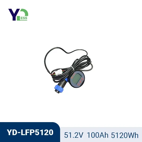 51.2V 100Ah Golf Cart LiFePO4  Power Batteries
