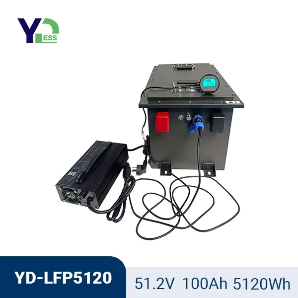 51.2V 100Ah Golf Cart LiFePO4  Power Batteries