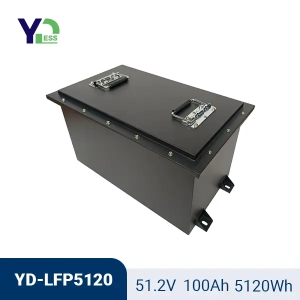 51.2V 100Ah Golf Cart LiFePO4  Power Batteries